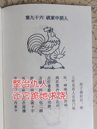 一本好书#好书推荐