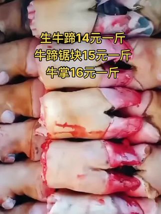 生牛蹄14元一斤，60斤一件
牛蹄锯块15元一斤
牛掌16元一斤#牛掌 #牛蹄 #牛羊肉批发 #牛副产品