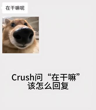Crush问“在干嘛”该怎么回复#聊天技巧教学 #聊天记录 #crush降临