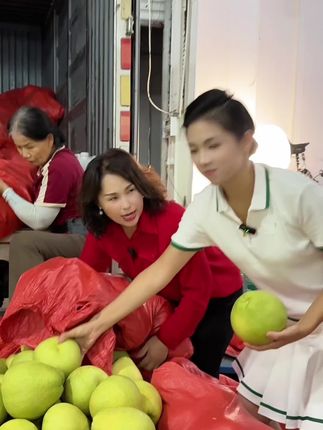 仙游度尾文旦柚#莆田特产@火火🔥阿麦古《莆田百姓大舞台》