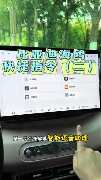 比亚迪海鸥快捷指令设置 #比亚迪用车技巧 #比亚迪车机功能 #比亚迪车机设置