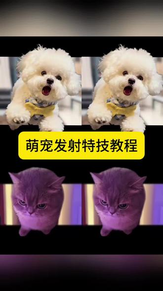 小狗飞来咯 来咯,来了来了,最近超火的萌宠发射特技教程来了,狗狗扔出屏幕特效 狗狗冲出屏幕 萌娃发射特技 宠物发射特技 小孩扔出屏幕特效教程来了 小孩扔出屏幕特效 Ai接孩转场模版 生孩子就是拿来玩儿的
沉浸式带娃 把娃当“玩具”的快乐谁懂啊
乡村小院里的带娃乐趣,这娃被玩得明明白白
生娃不玩岂不可惜?看我把人类幼崽玩出花
ai接娃特效教程 孩子起飞特效 孩子飞起来了 生孩子就是拿来玩儿的 ai接娃特效 扔孩子起飞 ai接孩转场 ai接孩转场特效教程 孩子的搞笑瞬间 扔孩子特效教程 把小孩扔出去特效 萌娃发射特技 扔孩子冲出屏幕 扔孩子 别把孩子真扔了 人类幼崽 带娃日常 亲子互动 剪映 萌娃瞬间 狗狗飞起特效 狗狗冲出屏幕 #剪映 #萌宠发射特技 #冲出屏幕亲亲转场 冲出屏幕特技 #萌娃发射特技 #狗狗冲出屏幕 比熊 拉布拉多 柯基