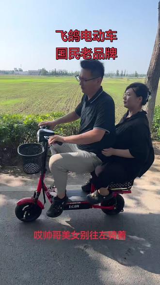 飞鸽电动车国民老品牌。能折叠 能放后备箱 #折叠电动车#电动车#电动车源头工厂#绿色环保