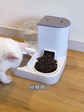 #好物推荐🔥 #猫咪的日常