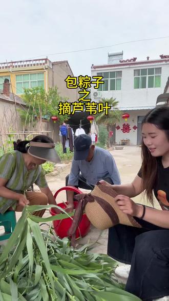 包粽子之摘江苇
#包粽子 #记录真实生活