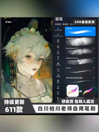 procreate笔刷白川柏川老师自用笔刷ipad绘画pocket笔刷