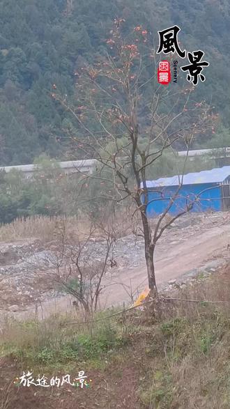 忠路互通服务区建设日常