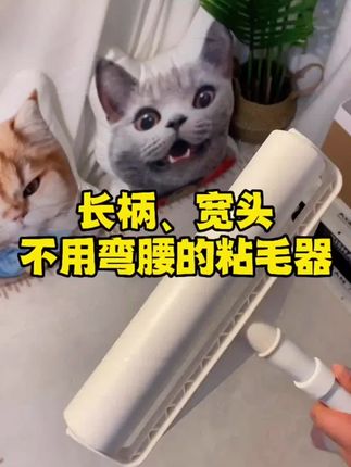 【多功能长杆粘毛器】可替换粘毛器家用滚筒式长柄大号除尘吸毛器#十亿流量扶持计划#好物推荐🔥 #居家好物 #刷毛器