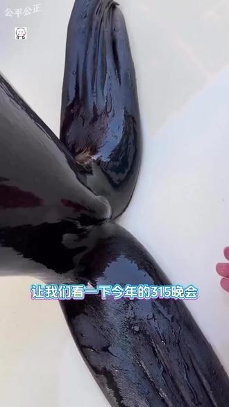 315报道#315#315晚会#食品安全