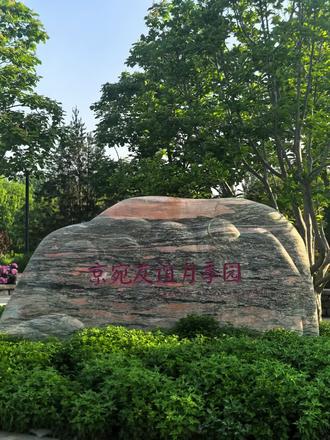 早晨逛逛绿心公园月季园