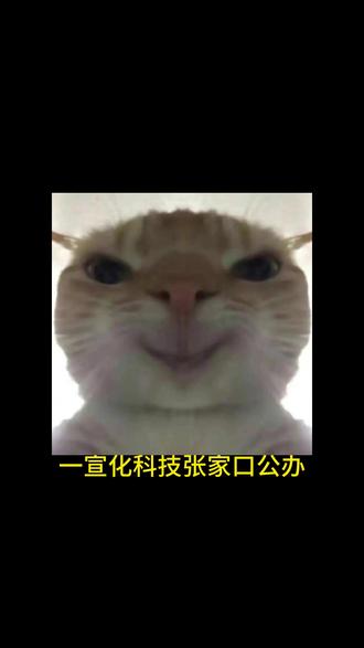 300分照样能上大专 #低分上大专 #公办大专 #石家庄公办大专