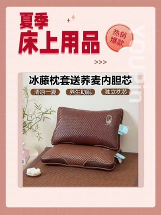 夏天荞麦壳枕头芯护颈椎助睡一对单只装成人学生冰藤丝荞麦皮凉枕