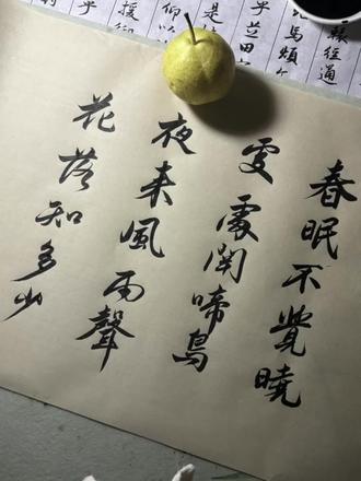 你最开始学的一首古诗是哪首呢?#书法日常练习 #热爱书法传播正能量 #一起练字 #古诗词 #春晓