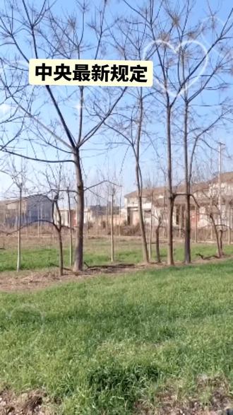 2026年中央明确规定6项行为合法#最新消息