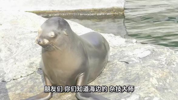 #科普@DOU+小助手