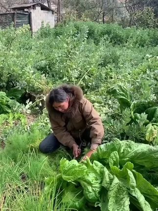 A股,现货黄金早盘涨势不止,首次突破3270美元/盎司,国内金饰价格再次突破千元关口。#国际金价再创新高#第1眼TV口说有屏#媒体精选计划