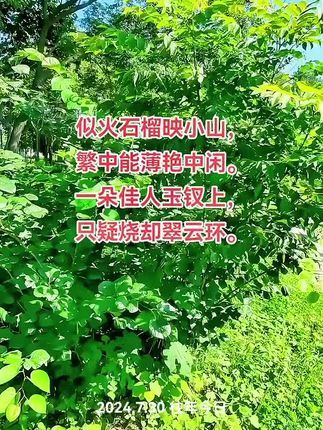 娃哈哈番石榴苹果汁饮品,保证让你喝了还想再喝的饮料。配料干净,没有科技与狠活,夏日健康饮品首选!,#夏季饮品分享 #娃哈哈#番石榴#娃哈哈番石榴饮料