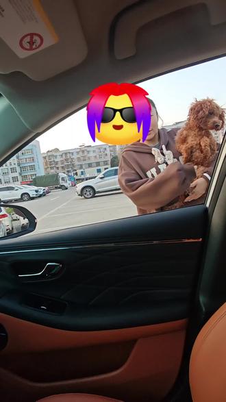 网约车不能拉狗,容易掉毛