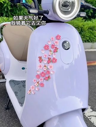 如果天气好了,我骑着它去见你 #车贴 #九号 #立体车贴 #浮雕立体花瓣贴纸 #花朵装饰