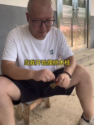 没想到#桃木枝 #桃木