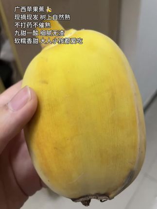 广西苹果蕉,现摘现发,树上自然熟。软糯香甜,细腻无渣,还带有淡淡的苹果香,真的巨好吃!#苹果蕉 #香蕉 #应季水果 #苹果香蕉 #优质农产品