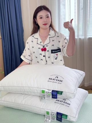 别等到枕头切底用不了了再花大几十大几百去商场买就真的亏了 #枕头 #枕芯 #枕头一对装 #好枕头睡好觉 #家纺床上用品