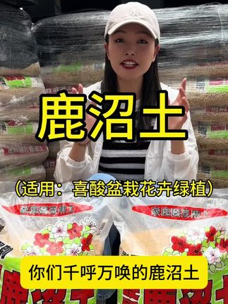 进口鹿沼土,所有花卉和多肉都能用,直接种、拌土种都可以,铺面拌土种植都可以#鹿沼土 #养花 #种植 #家庭养花