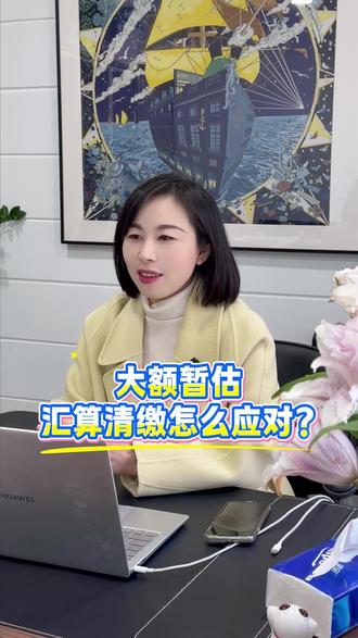 公司账上很多大额暂估,汇算清缴应该怎么应对? #财税 #干货分享 #公司 #老板 #汇算清缴