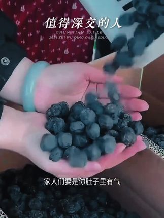 【买一送一】希农精选黑枣大乌枣新鲜营养即食#美食 #零食推荐 #零食#分享家乡特产