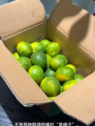 等了一年终于吃到了高山无籽青皮蜜橘,味甜无籽#新鲜采摘 #优质农产品 #无籽青皮蜜橘