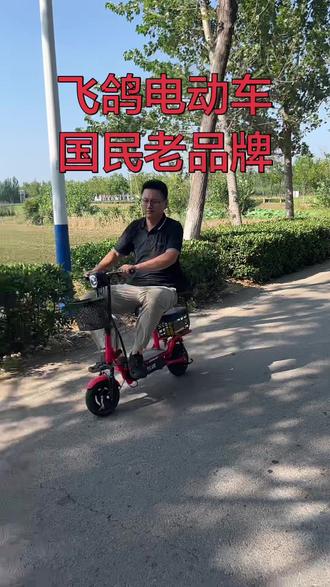 飞鸽电动车国民老品牌.#电动车 #折叠便携代步车 #电动车源头工厂#折叠电动车 #绿色出行低碳又环保