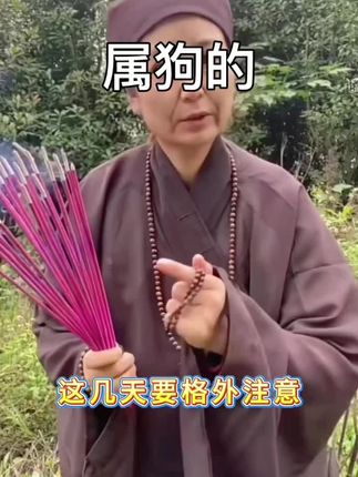 #生肖狗 #属狗 #狗