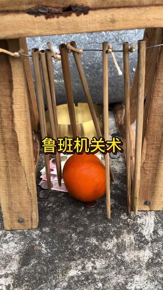 鲁班防盗机关#防盗#鲁班#实用工具