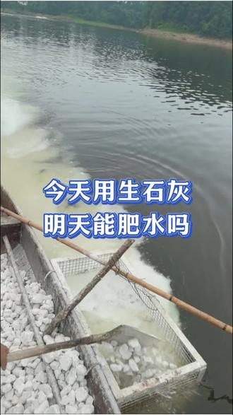 用完生石灰后什么时候才能肥水#水产养殖#生石灰#肥水#水产人#改底