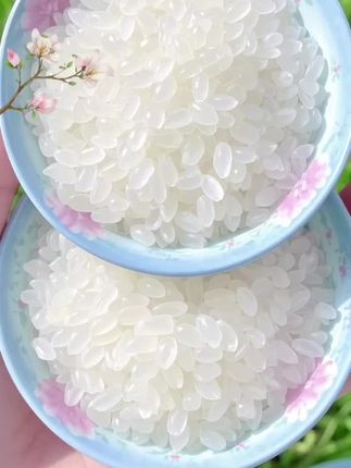 #抖音玩法达人中心 #哈尔滨五常新大米 #粒粒饱满大颗粒 #一楼煮饭整栋楼饭香 13.9到手5斤