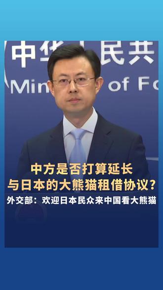 中方是否打算延长与日本的大熊猫租借协议? 外交部:欢迎日本民众来中国看大熊猫 #大熊猫