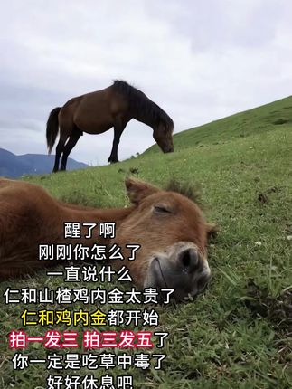 不会有妈妈们还不知道鸡内金,真的是太不负责任了