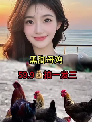 #黑脚母鸡#母鸡#生鲜