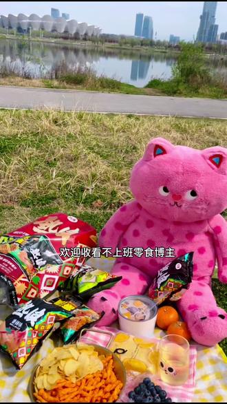 露营真开心,薯片好炫!好玩爱玩以后还玩#零食推荐#零食分享#露营美食#薯片