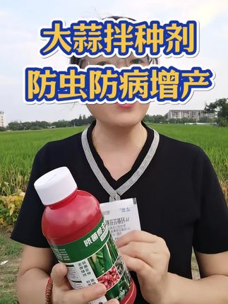 #大蒜拌种剂 #拌种剂 #大蒜种植 #农资肥料 #农业种植