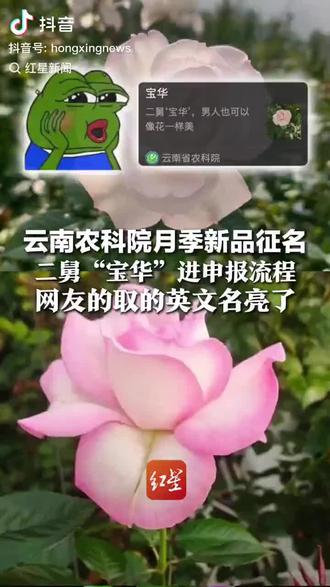 🌹刷屏的宝华月季,你心动了吗?
来我家,把同款“顶流浪漫”带回家!
✨精品盆栽·鲜切花束·定制礼盒
不止颜值能打,性价比更让你惊艳~
👇点这里,解锁你的专属春日花海!
我是在安徽宿州开花店的敏姐