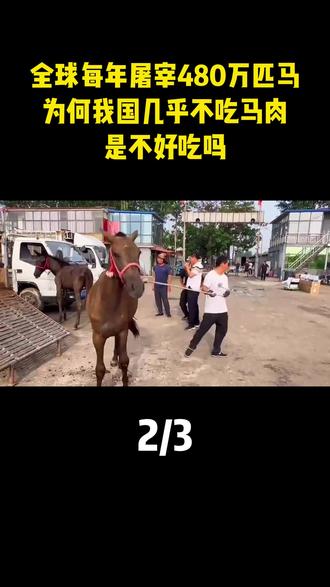 全球每年屠宰480万匹马,为何我国几乎不吃马肉,是不好吃吗?