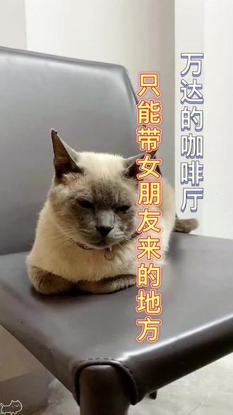 情人节这个地方可不能错过#情人节 #跟着抖音来探店 #佳木斯井上