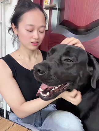 当朋友家有只毛发枯燥的狗,你家狗养的毛发油光发亮时~,#养狗经验分享 #萌宠好物 #科学养宠攻略 #麦德氏卵磷脂 #养狗人