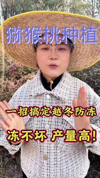一招搞定越冬防冻,冻不坏,产量高!#猕猴桃种植 #猕猴桃种植技术 #果树种植 #果园管理 #水果种植