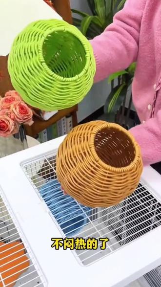 鹦鹉喜欢的洞穴藤编窝,四季通用,可挂鸟笼里,也可以放桌面上,结实又好看#鹦鹉鸟窝#手养鹦鹉#手养鹦鹉