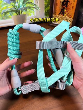 遛狗一定要带牵引绳哦!#强烈推荐 #牵引绳 #牵引绳是狗的生命线