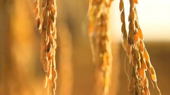 《转眼2026》新年快乐!新歌上线啦 🎉✨