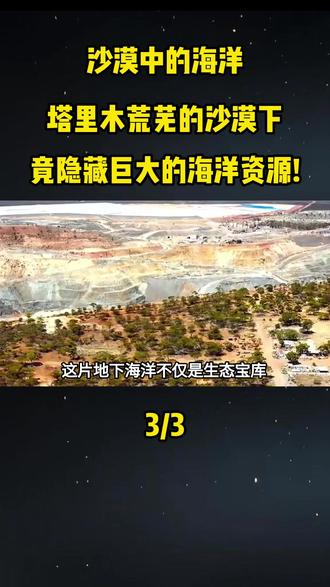 沙漠中的海洋,塔里木荒芜的沙漠下竟隐藏巨大的海洋资源!#大国重器#大国崛起#科普#科普一下#塔里木