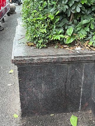 四川宜宾烟熏腊板鸭